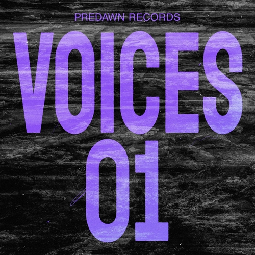 VA - Voices 01 [PRDWN002]